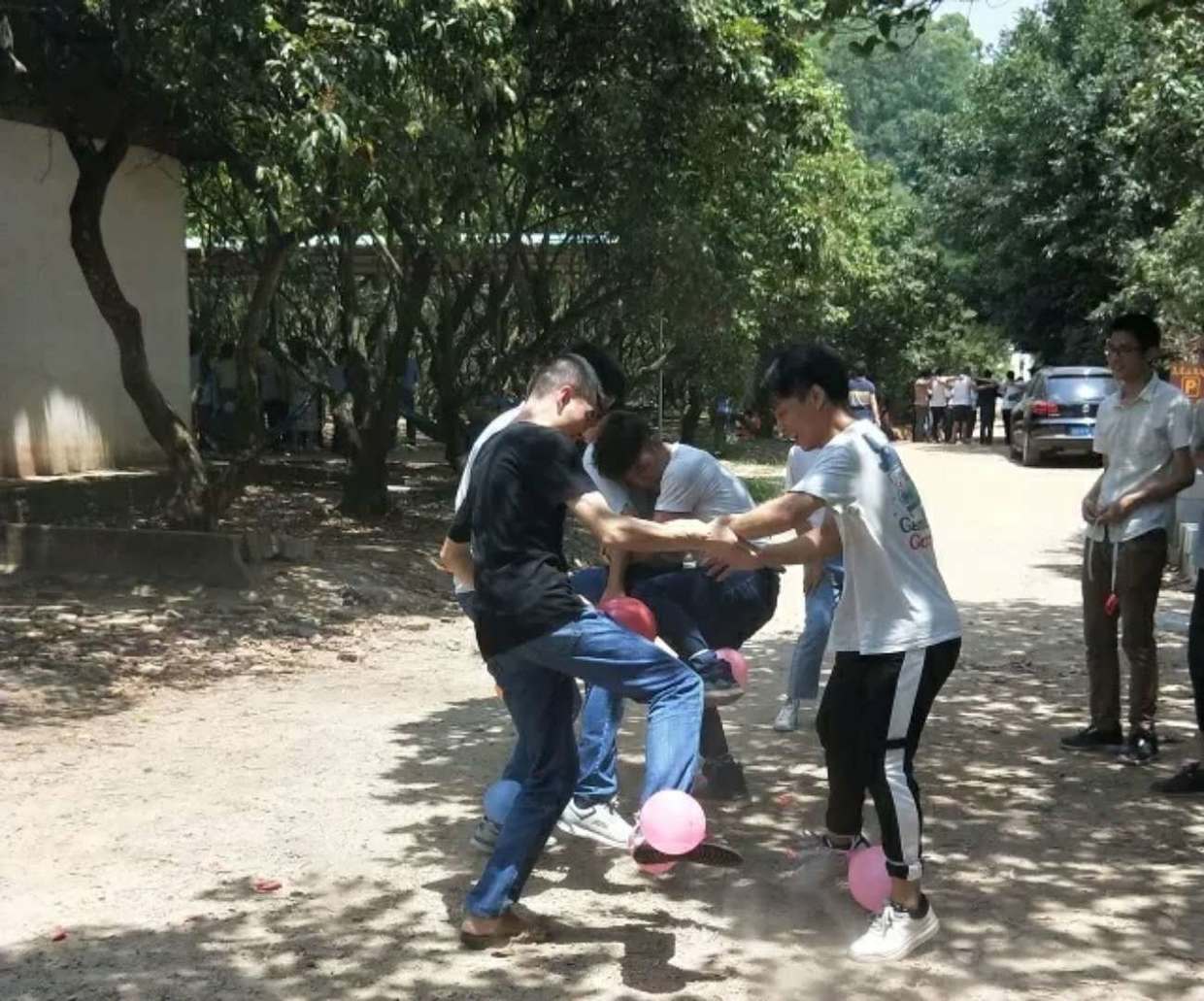 深圳农家乐一日游费用,深圳农家乐一日游团建