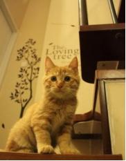 闀挎矙涔愬瑁呴グ宸ョ▼鏈夐檺鍏徃,涔愬瑁呴グ闀挎矙