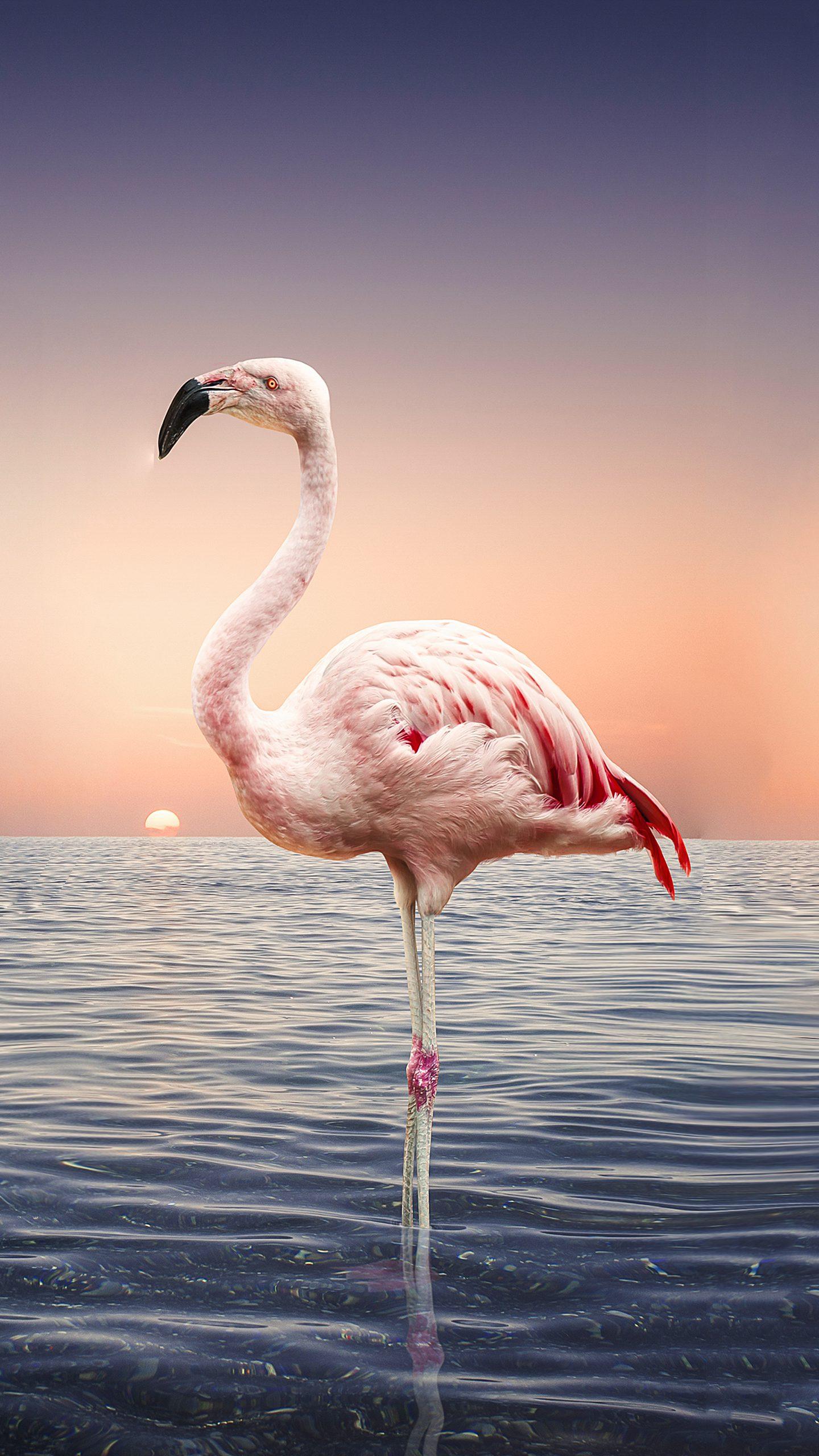 光圈的景深范围,光圈和景深对焦