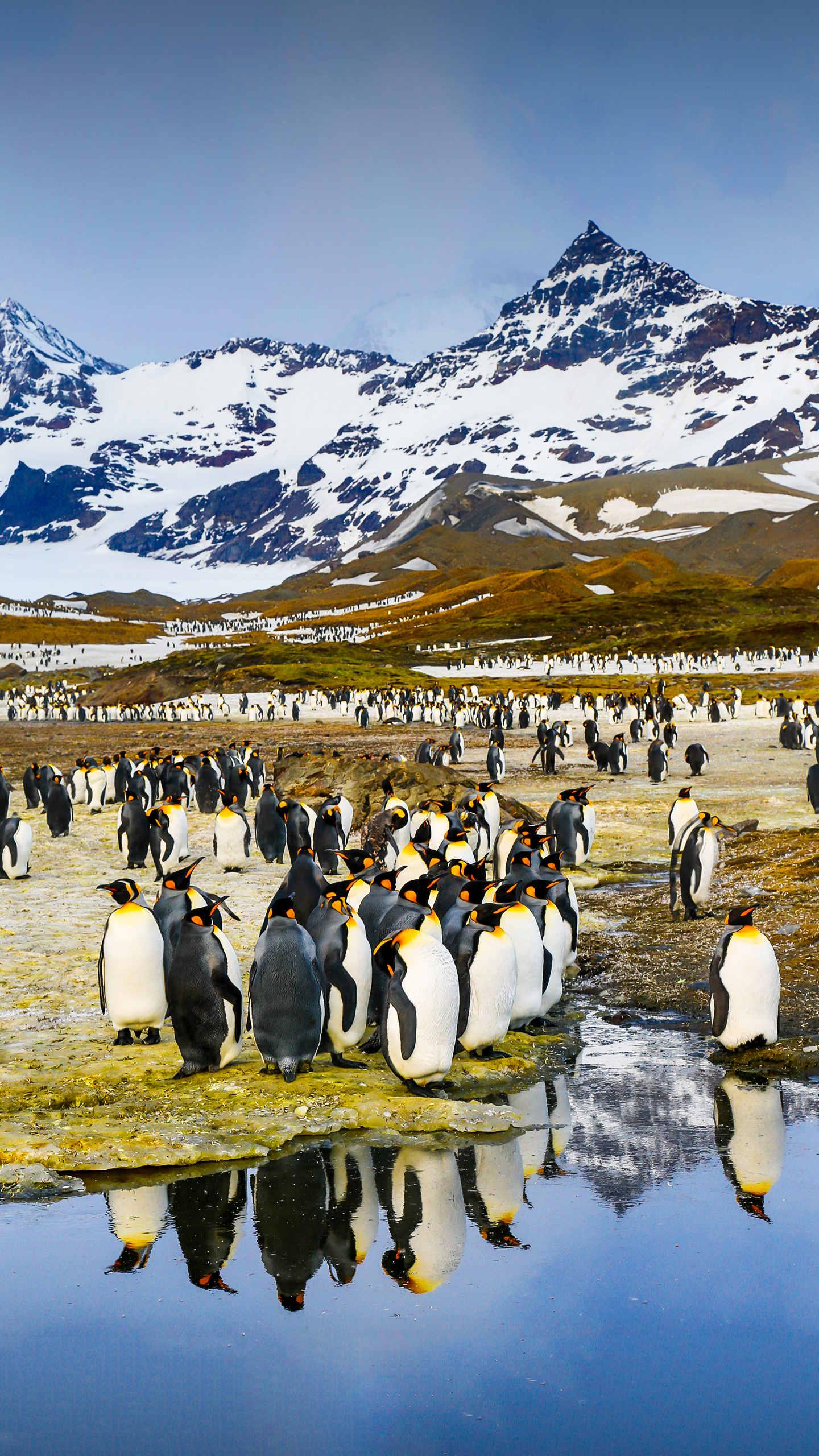 从入门走向精通光圈对景深的影响,光圈与景深的区别对比高清图