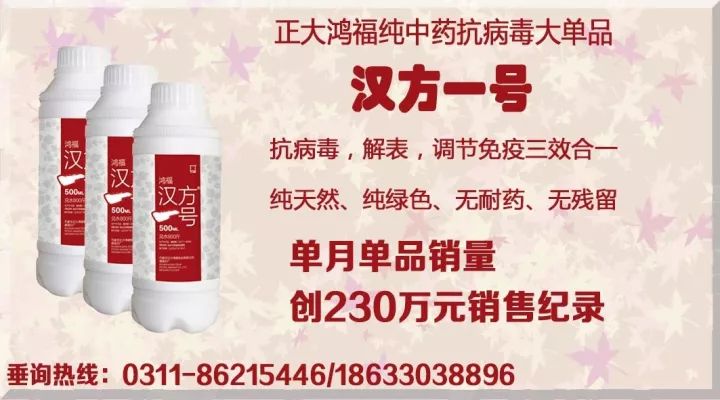 只要一出现栓塞，鸡必然有一个高伤亡