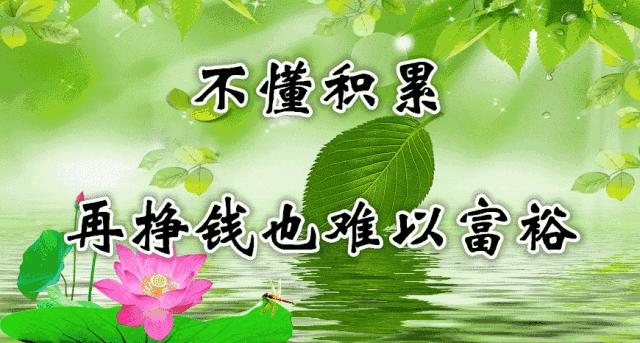 14张会动的照片,会动的照片大全大图