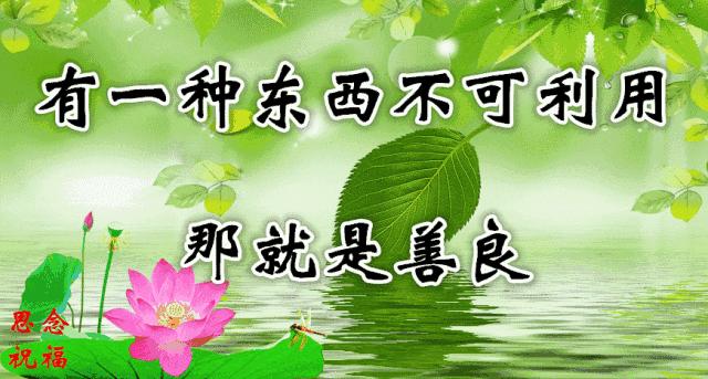 14张会动的照片,会动的照片大全大图