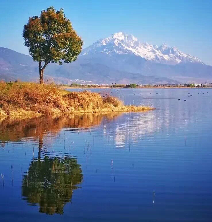 人还是踏踏实实好不要耍小聪明,人要踏踏实实不要耍小聪明