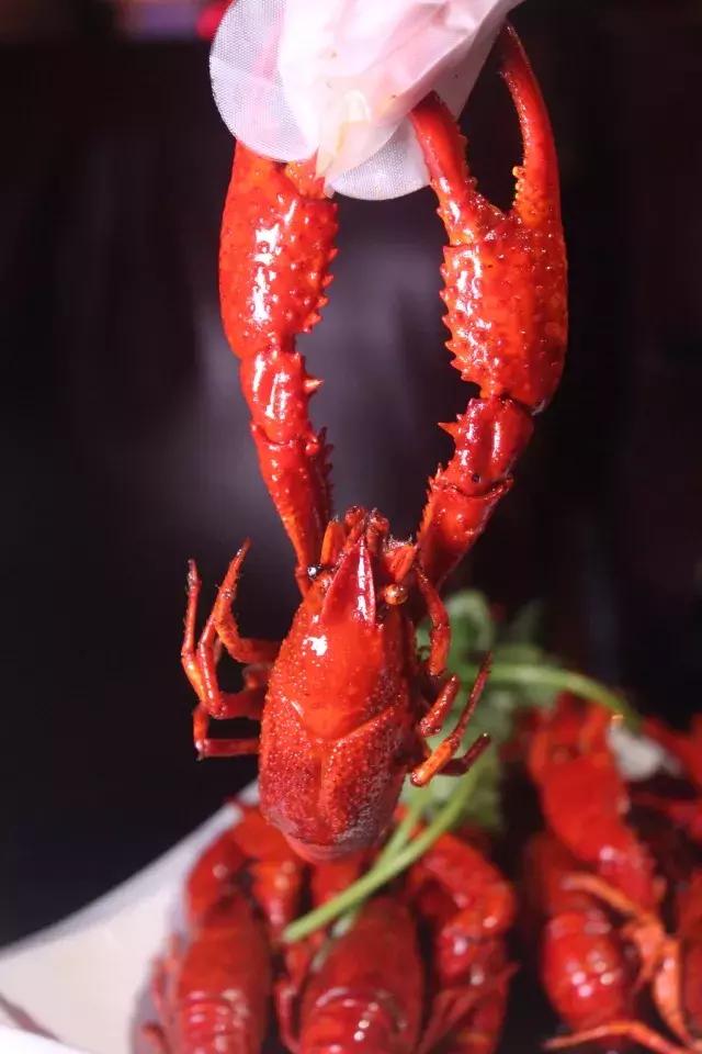 成都撸串看世界杯的好去处,世界杯看球的好去处