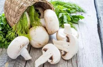 关于更年期治疗的讲座,更年期健康秘诀