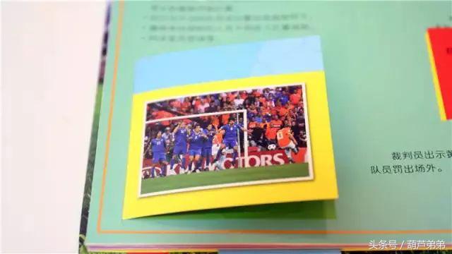 世界杯足球立体书,世界杯知识书