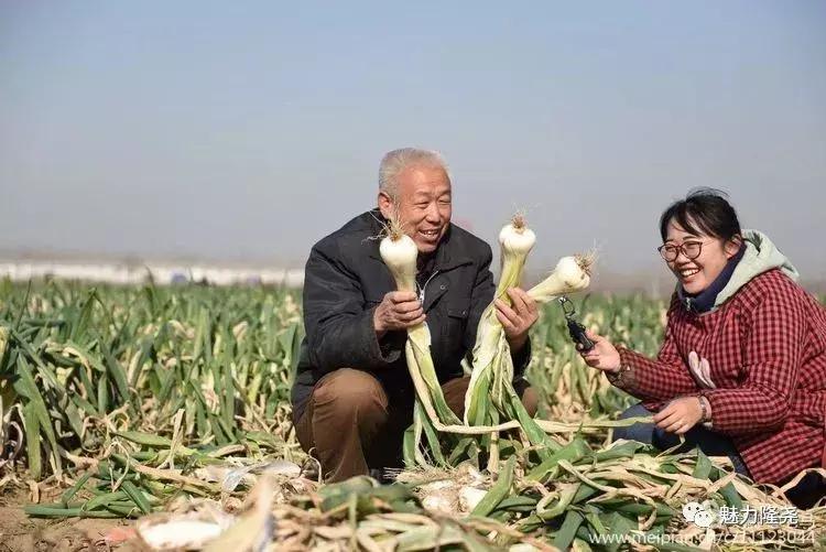 全球李氏祭祖大典隆尧,隆尧李氏恳亲大会直播视频