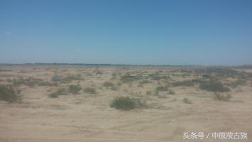 新疆农六师芳草湖总场,新疆农六师芳草湖