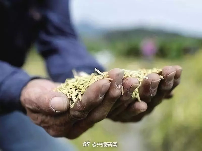 与众不同的手机铃声,与众不同的手机桌面