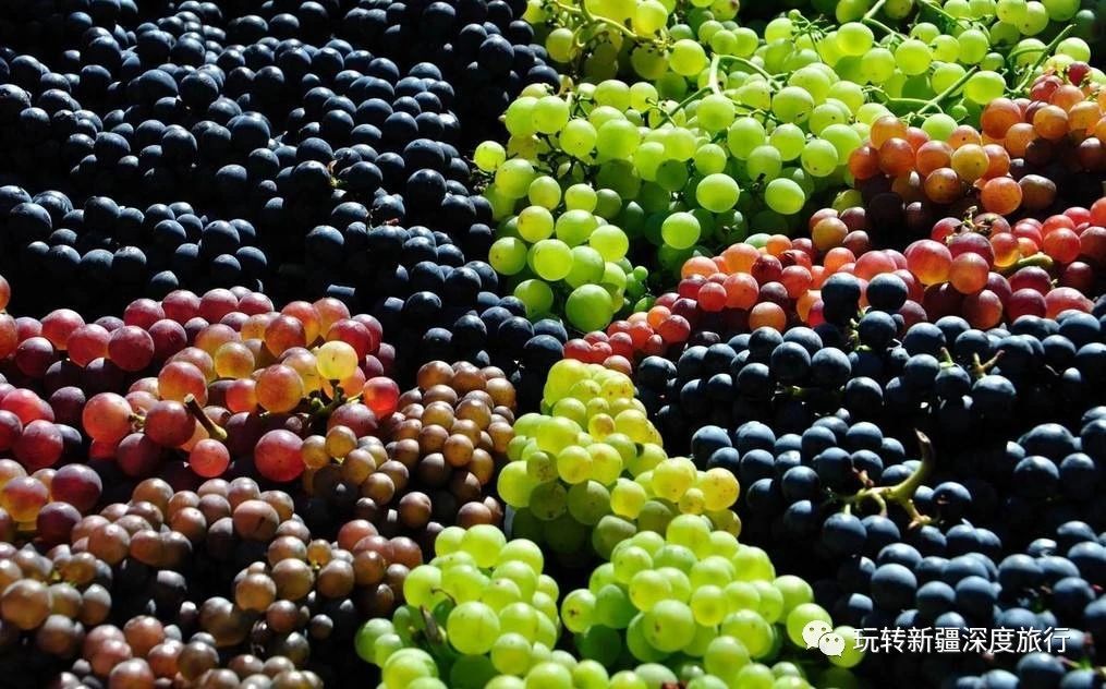 南疆最好吃的瓜果,新疆瓜果什么最好吃又便宜