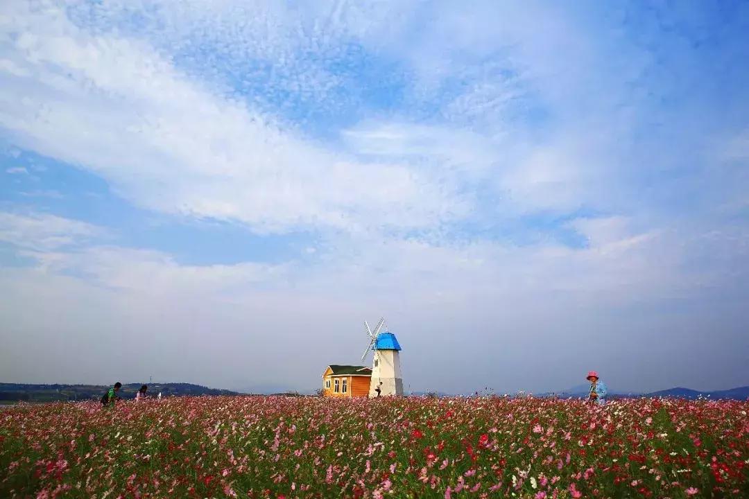 端午假期遇上父亲节,端午节父亲节出游