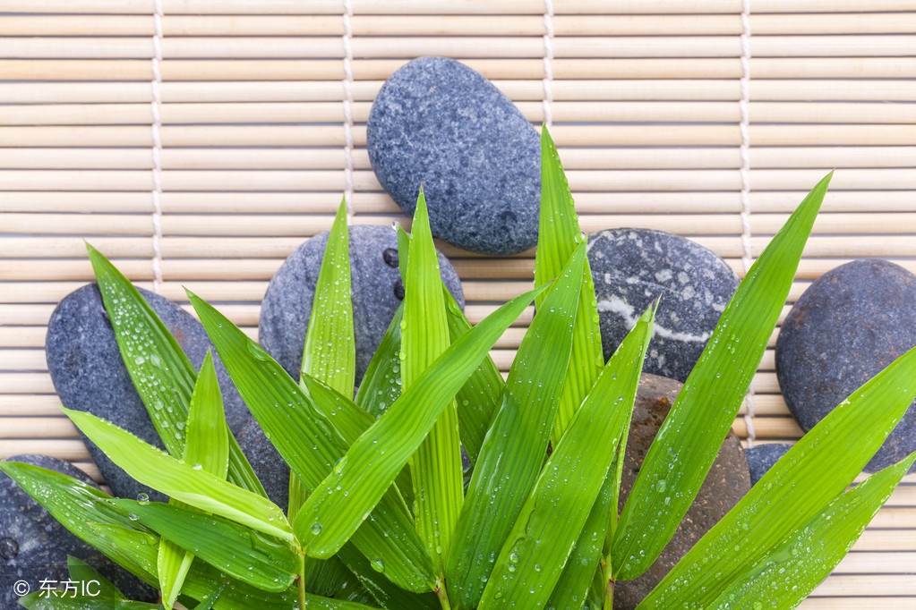 编制考试中常考的15个成语典故，快记笔记！