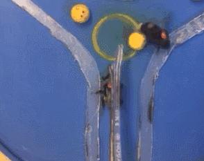 虫虫也能学会“踢球”，这难道是要参加世界杯的节奏？