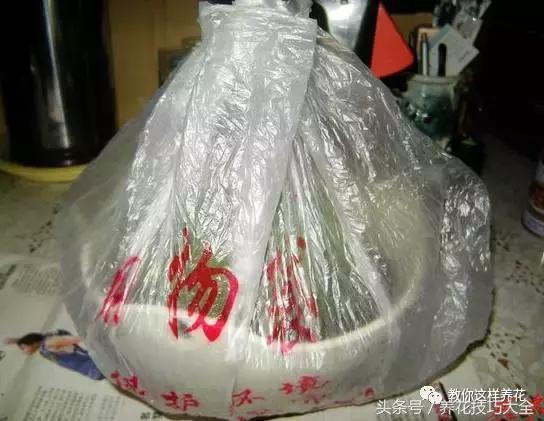 蟹爪兰长得好好的就断了怎么回事,蟹爪兰花谢了怎么处理才能复花