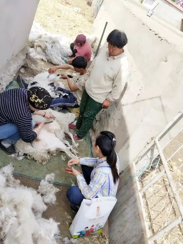 驻村扶贫干部的故事,女干部驻村故事