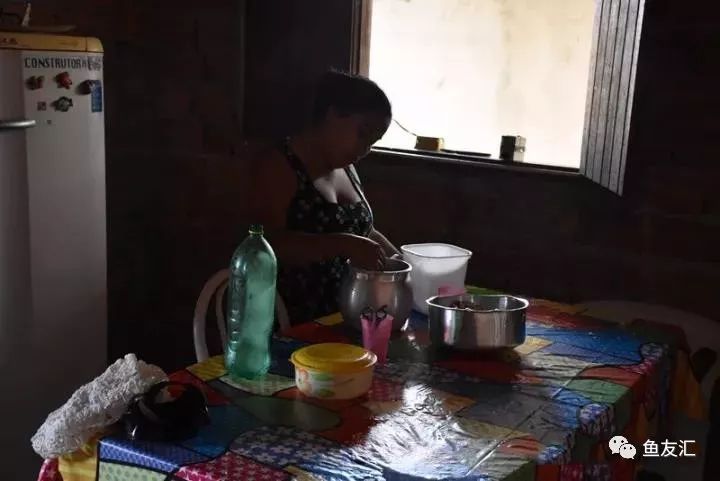 特隆贝塔如何饲养,特隆贝塔半皇与红彩区别