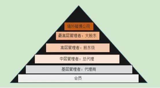 世界杯足球你了解吗,浅谈世界杯及足球