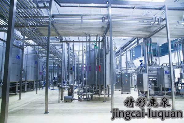 *春华胡**副总理来鹿泉了！