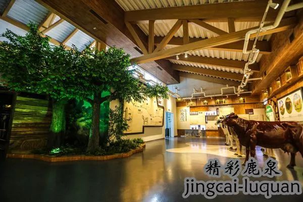 *春华胡**副总理来鹿泉了！