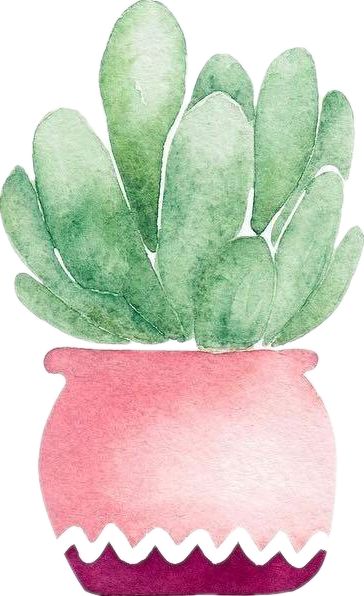 端午时节粽子飘香,端午时节粽香四溢