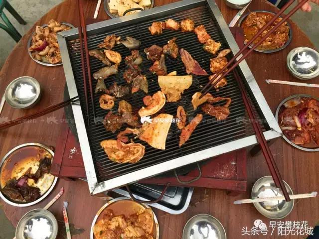 攀枝花周边一日游最佳路线,攀枝花周边有什么好玩的地方