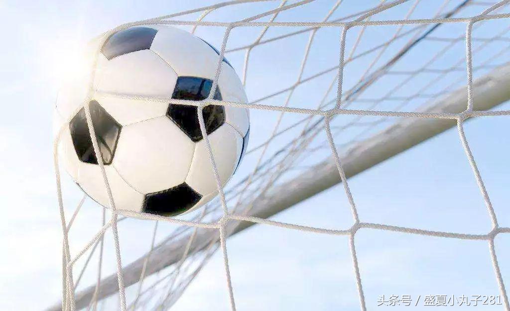 世界杯草皮是假草吗,世界杯足球场草皮表面