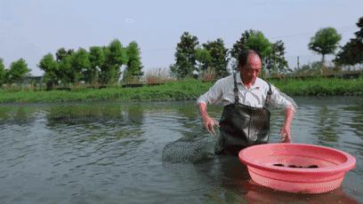 2018世界杯期间，如何正确吃小龙虾？