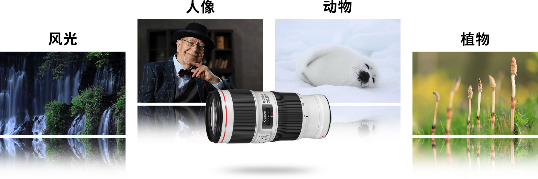 佳能70-200mm镜头f4优缺点,佳能70-200mmf2.8三代