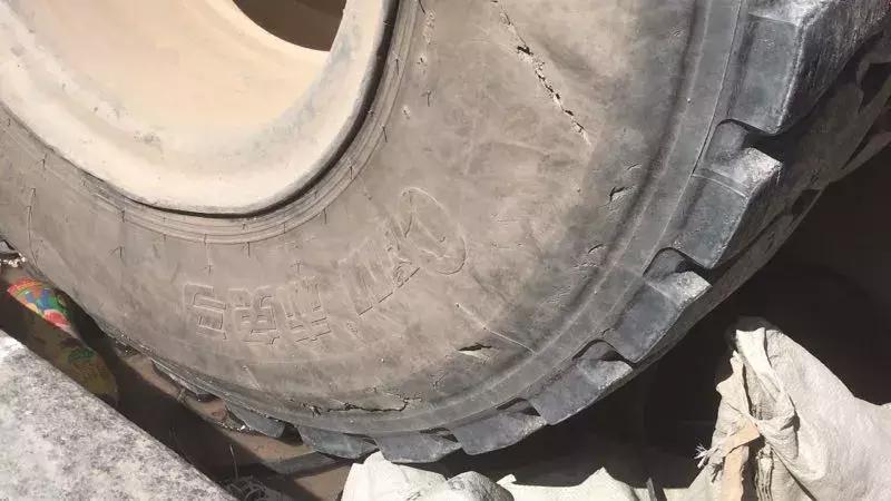 小金刚最近新消息,小金刚今天最新消息