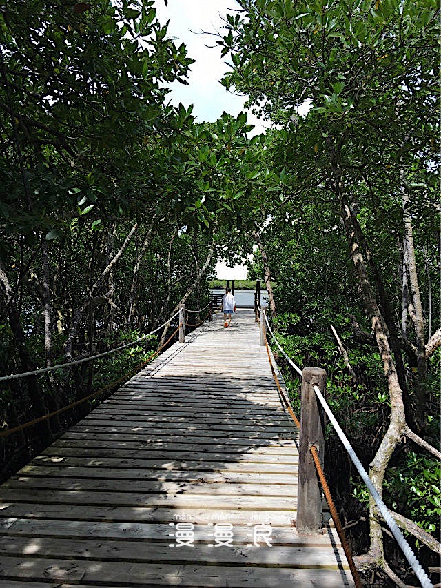 帕劳海底之旅,帕劳的海底