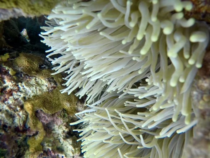 端午来这个绝美海岛,端午海岛游