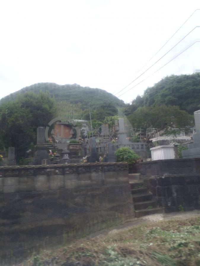 天海新世纪号游记攻略の扶老携幼游轮行