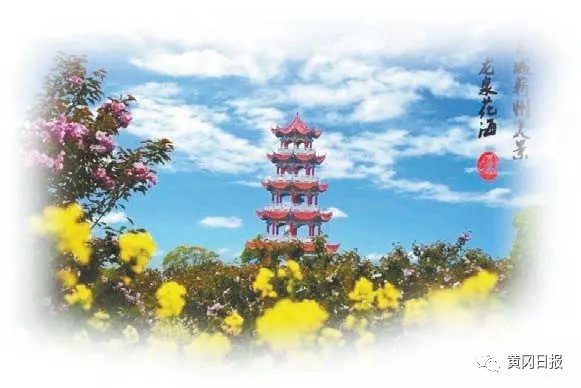 一个穷山村变富裕的故事,一个不起眼的山村如今的变化