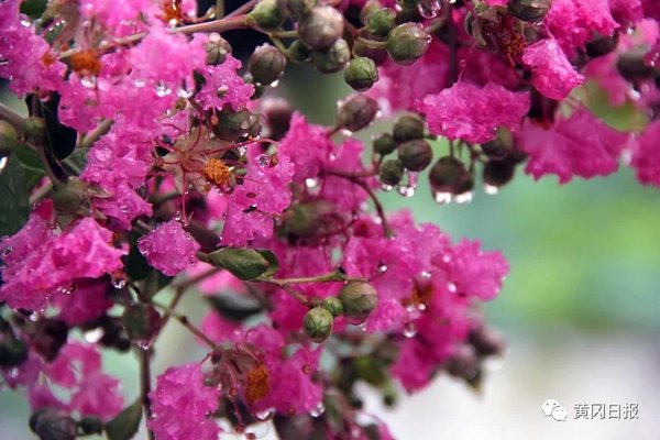 一个穷山村变富裕的故事,一个不起眼的山村如今的变化