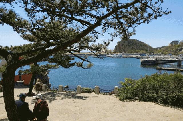 不用计划了！大连人的这个端午，看着这条微信过就行！