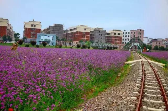 义乌游玩好去处义乌海洋世界,义乌五一亲子游推荐水上乐园