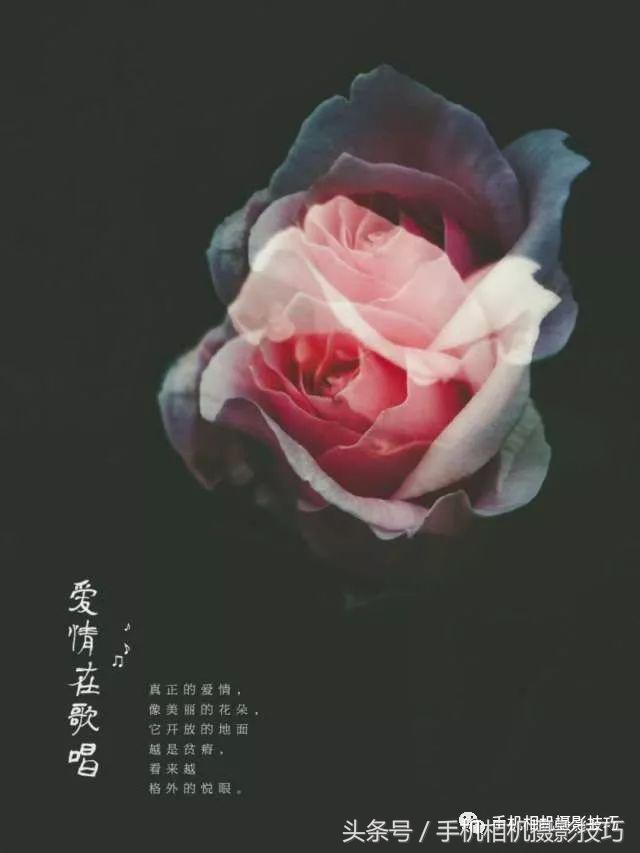 怎么学会给图片起名字呢,如何给照片取名字呢