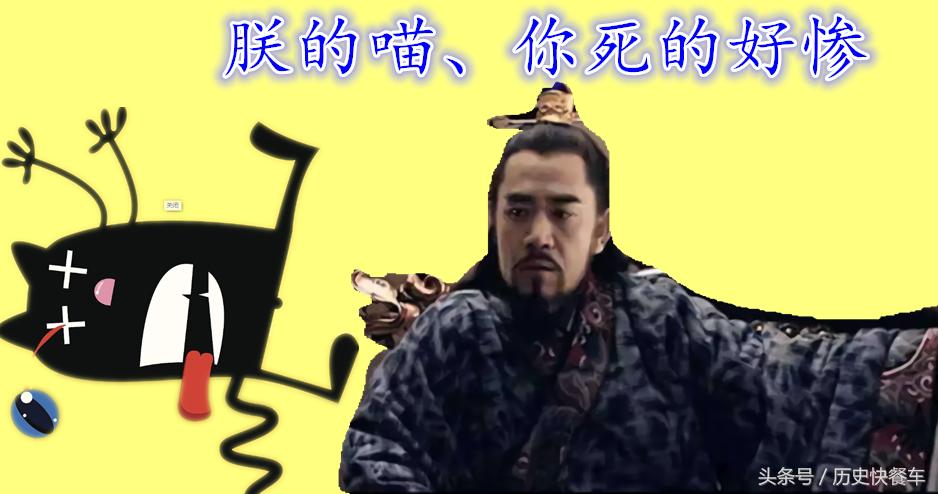 喵星人的变化史,喵星人养猫13年经验分享