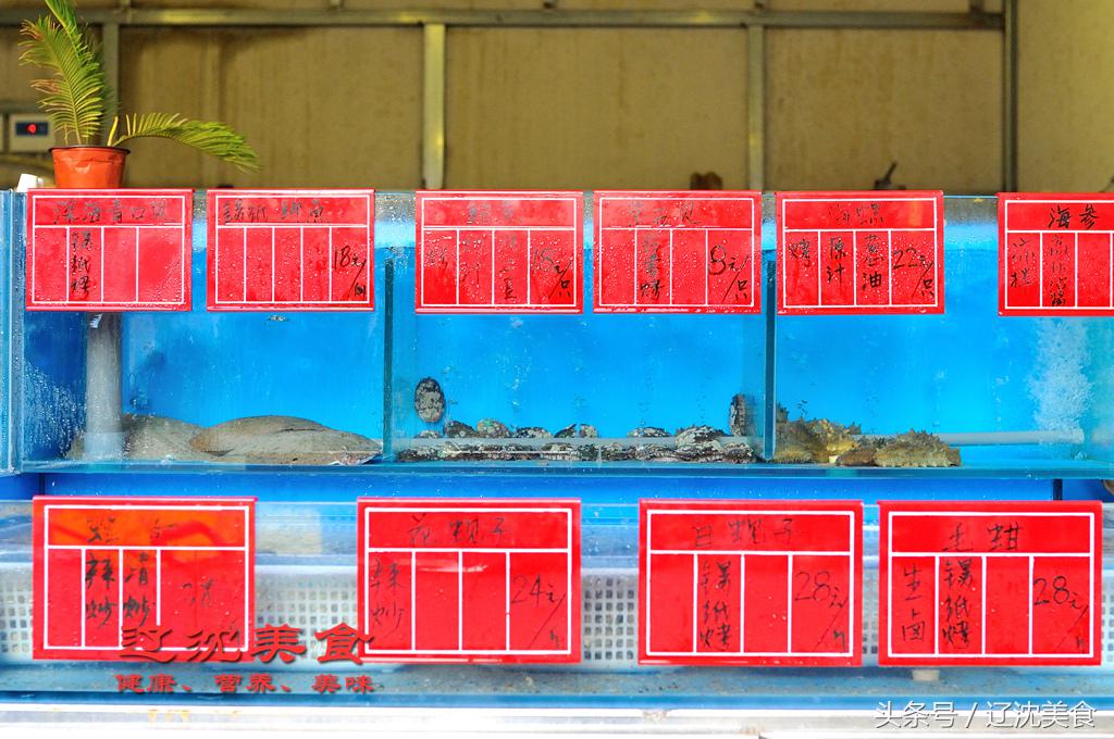 东北人为中国健儿助威的方式,沈阳足球世界杯