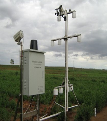 温室蔬菜大棚建设注意事项,温室大棚和普通大棚有什么不一样