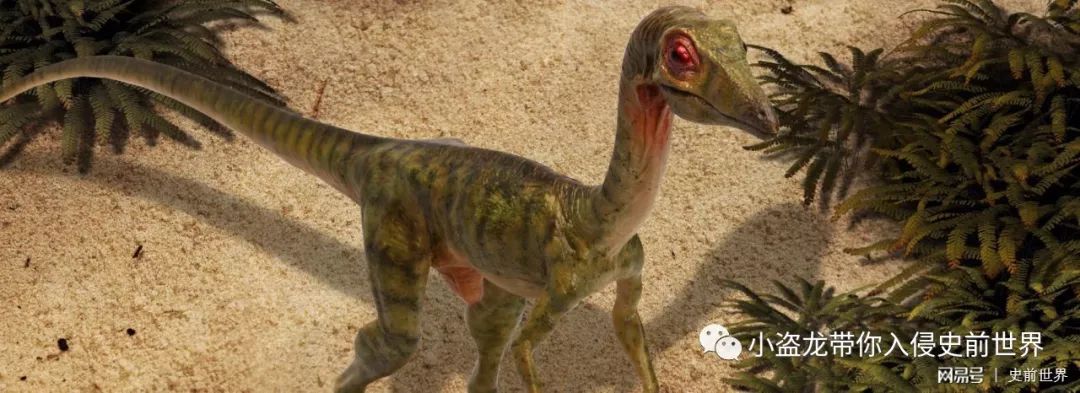 《侏罗纪世界2》所有恐龙的名字,侏罗纪世界2里面所有的恐龙名字