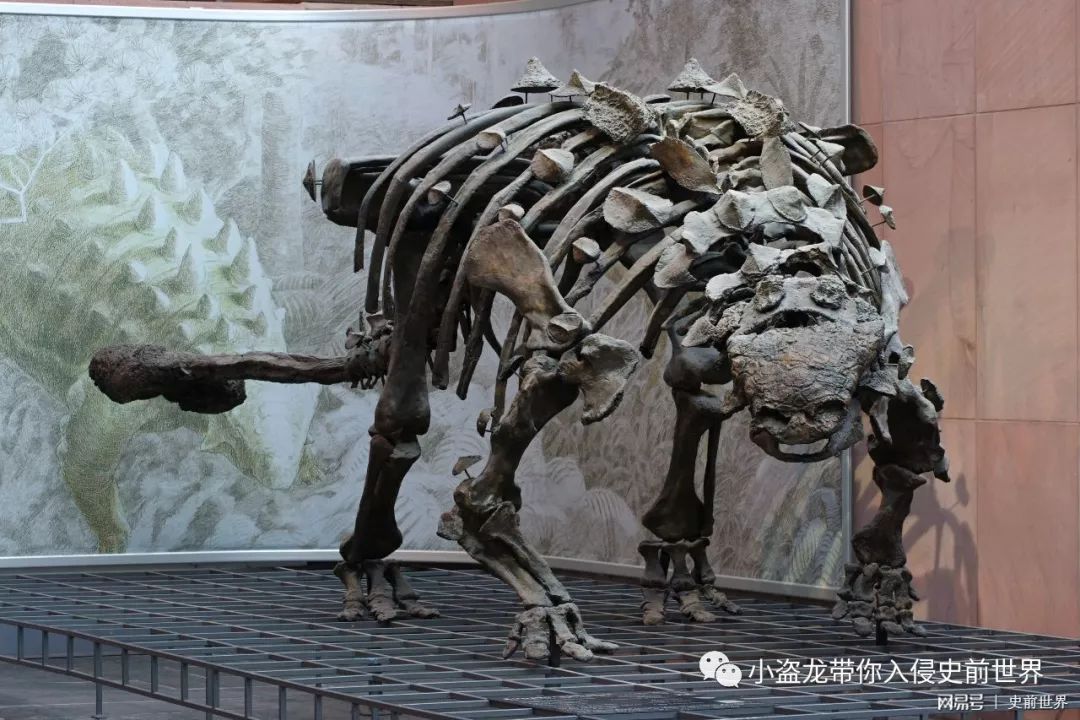 《侏罗纪世界2》所有恐龙的名字,侏罗纪世界2里面所有的恐龙名字