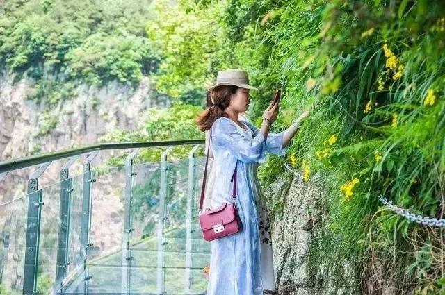 浙江湖州玻璃栈道,浙江灵溪山玻璃栈道景区