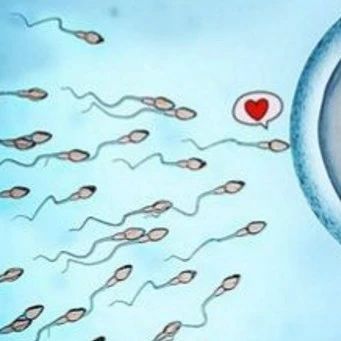 移植失败多次试管,移植多次失败最大的原因是什么