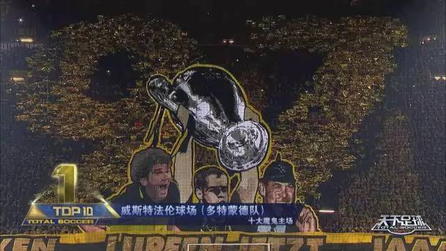 看世界杯的球迷是怎样的,四川球迷看世界杯