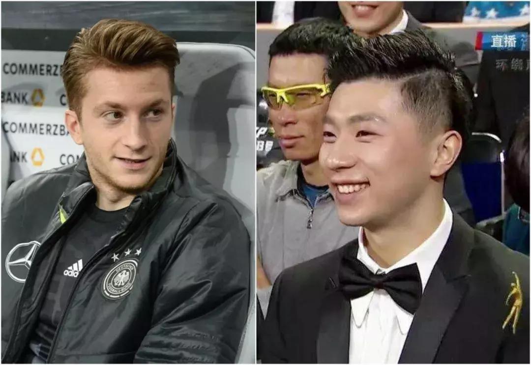 世界杯肉肉的仙人球,世界杯金肉肉