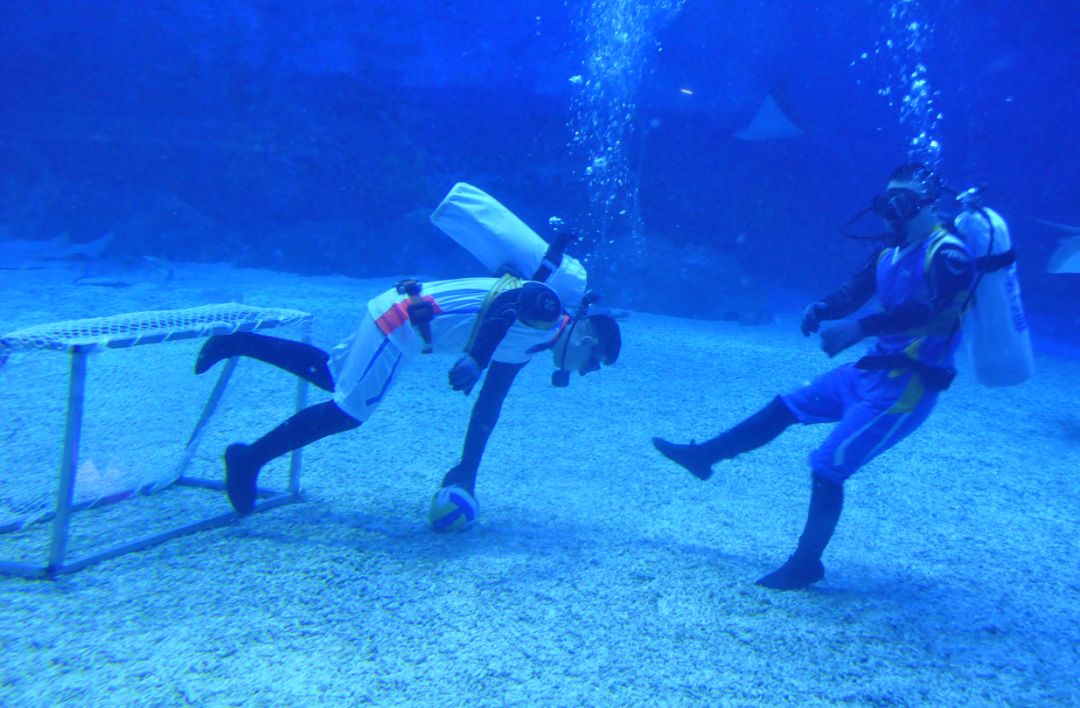 精彩活动｜海底世界杯精彩开战，烟台渔人码头打造别开生面“人+鱼”水下足球赛！