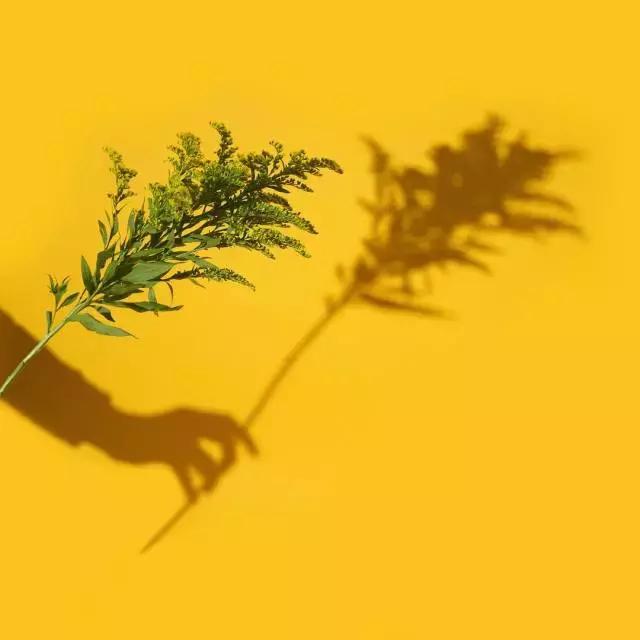 女生伪球迷看世界杯,伪球迷足球女孩