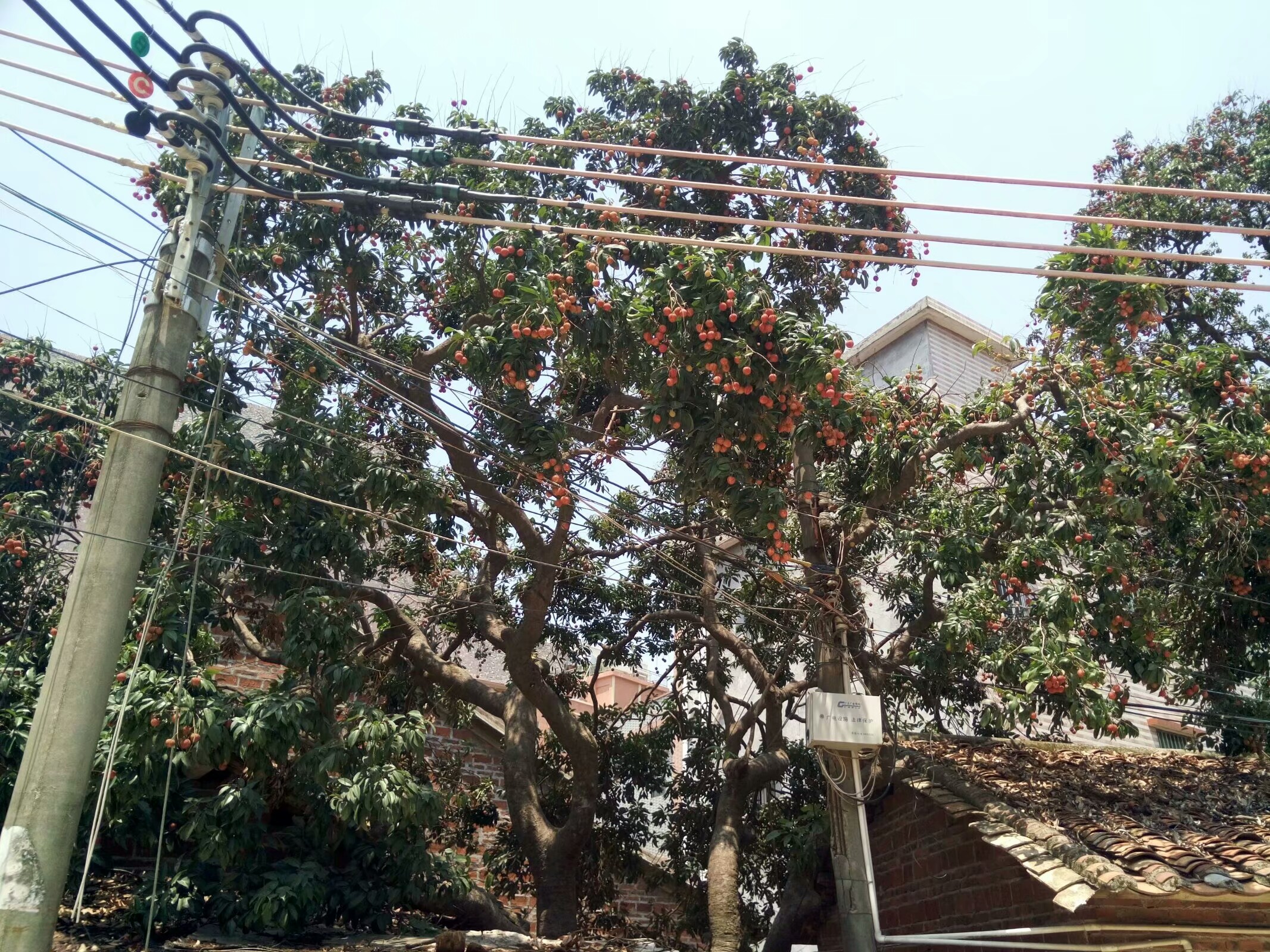 东莞大朗毛织厂招聘最新信息,大朗毛织厂多还是濮院毛织厂多